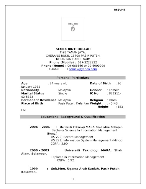 contoh resume yang terbaik