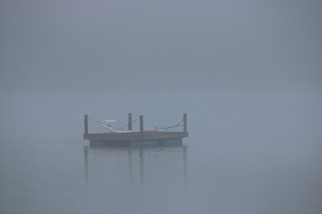 Fog in the morning