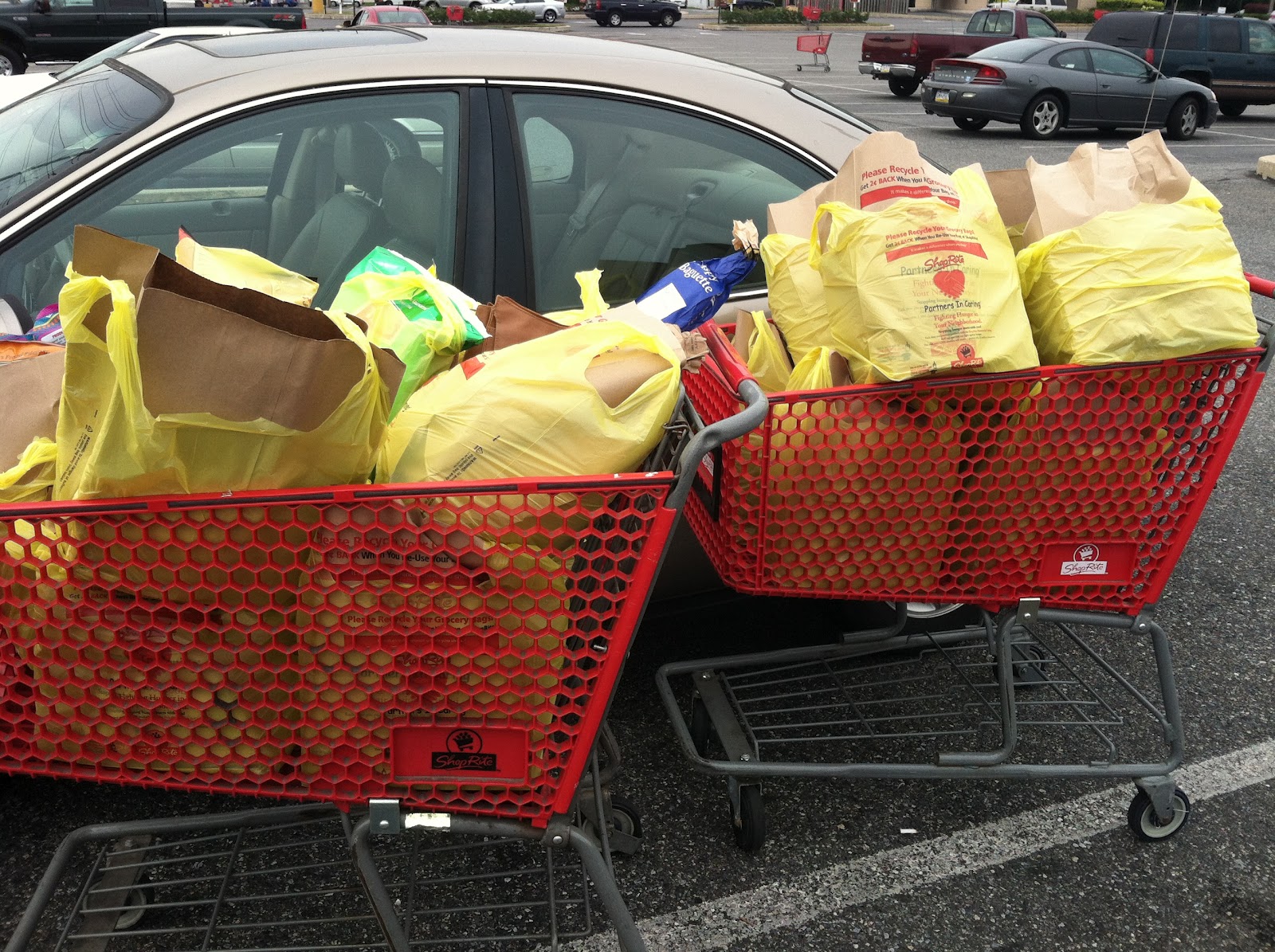 Simply Stephanie Grocery Shopping...or hoarding?