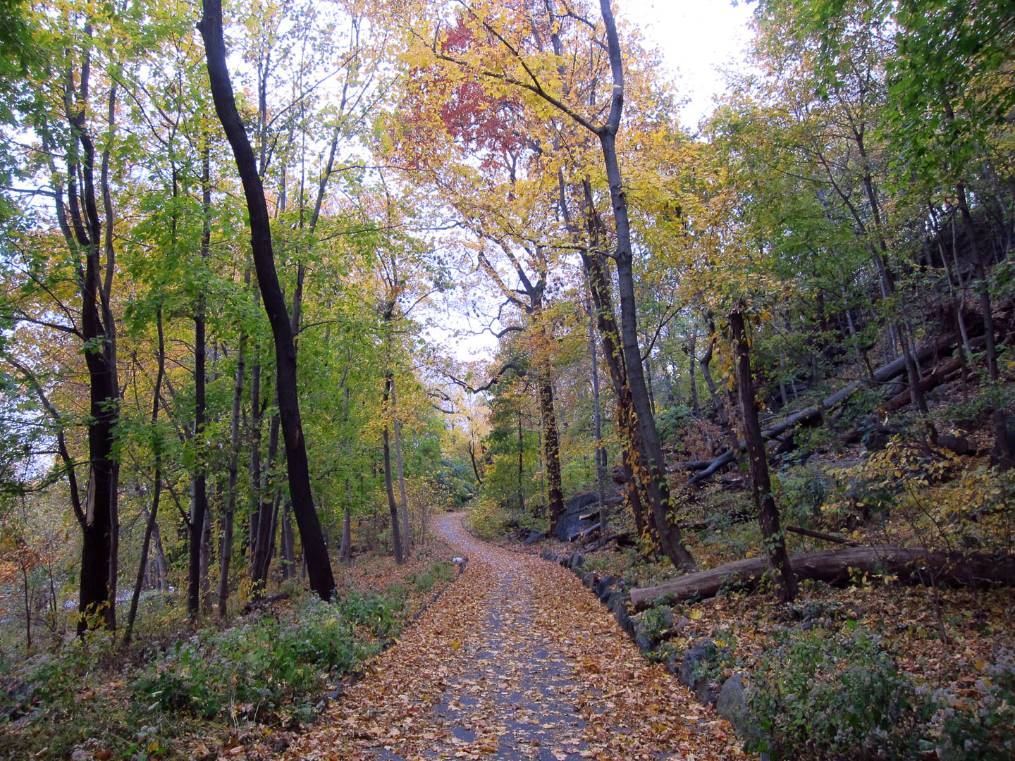 66 Square Feet (Plus) Highbridge Park