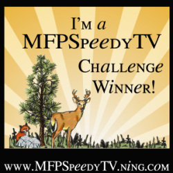 MFP Stamps Challenge Winner