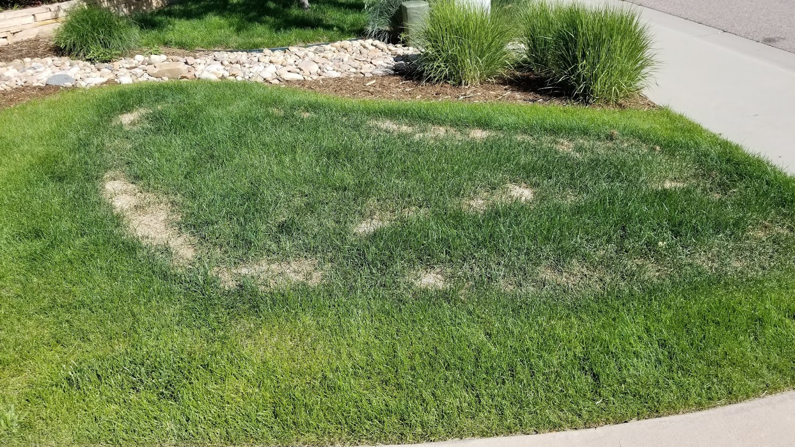 What is a Pre Emergent for Crabgrass 
