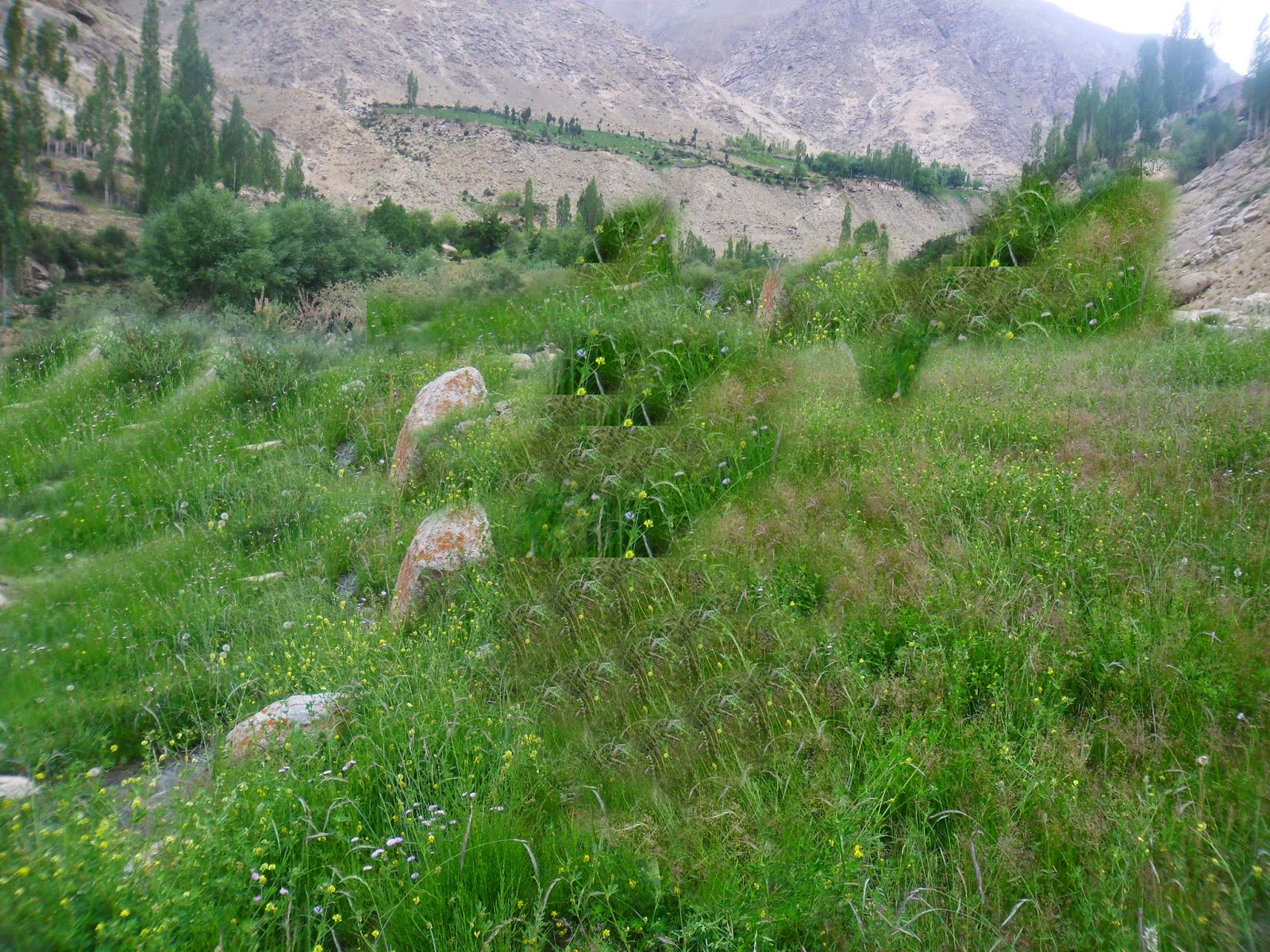 Gilgit
