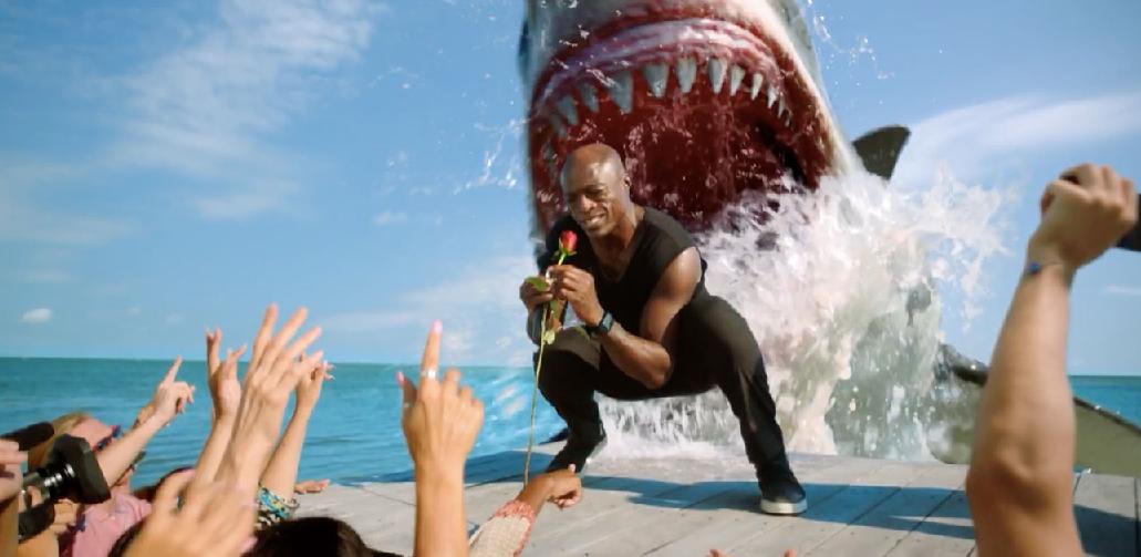 Shark Week, it’s Still a Bad Week to be a Seal. CREATIVE CREDITS