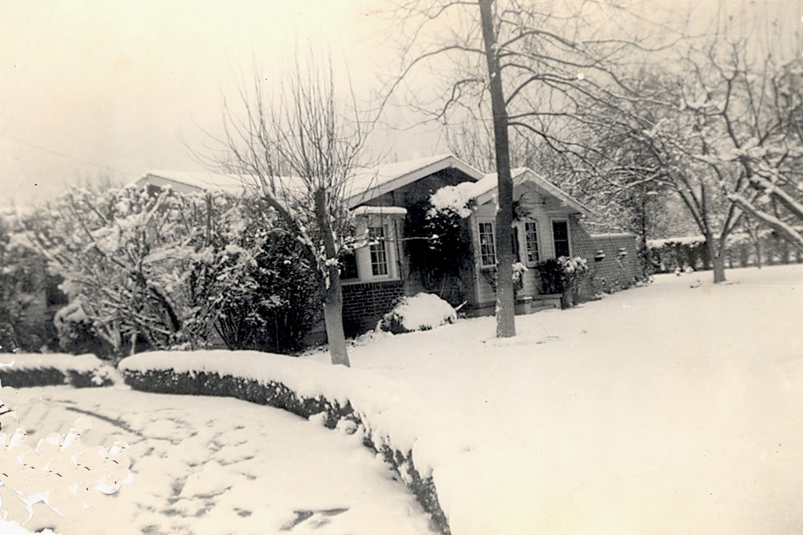 The Museum of the San Fernando Valley VAN NUYS SNOW PHOTOS FROM 1950