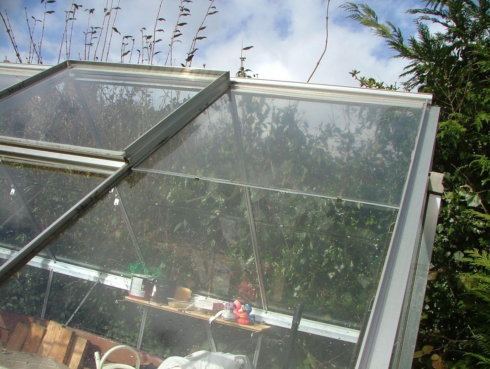 Random Seed Gardener Greenhouse repairs replacing glass panes with
