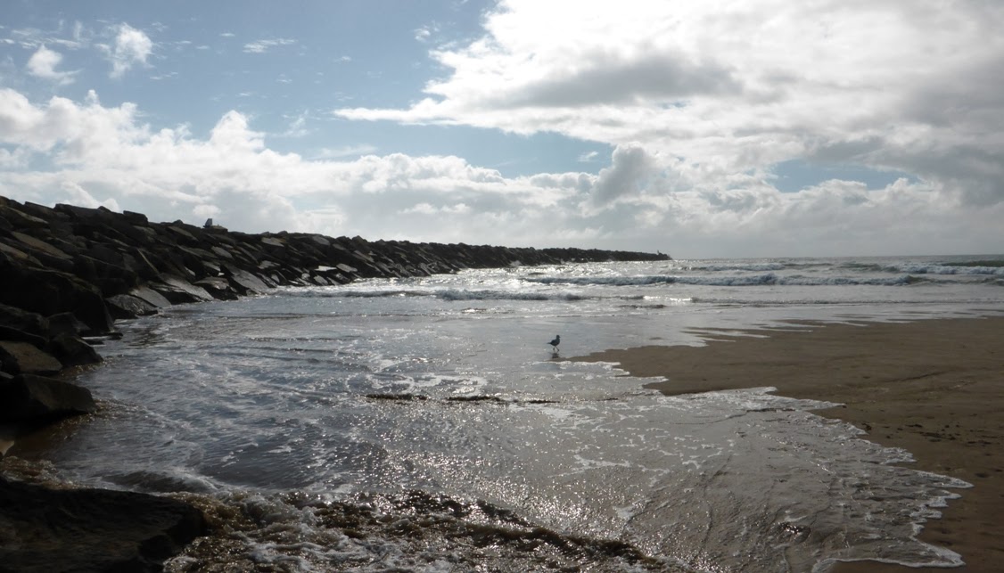 Beyond The Blue Horizon Yamba Turners Beach