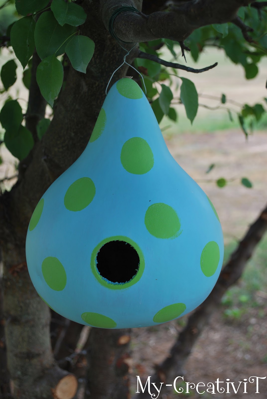 MyCreativiT Gourd Birdhouse and Feeder