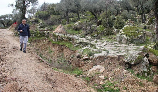 2,300-year-old road destroyed to make way for villagers’ olive groves in SW Turkey 2,300-year-old road destroyed to make way for villagers’ olive groves in SW Turkey