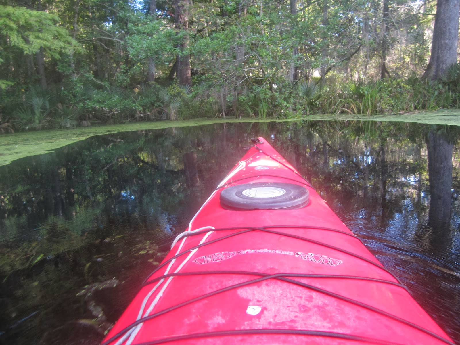 Dave's Yak Tales Ichetucknee River and more