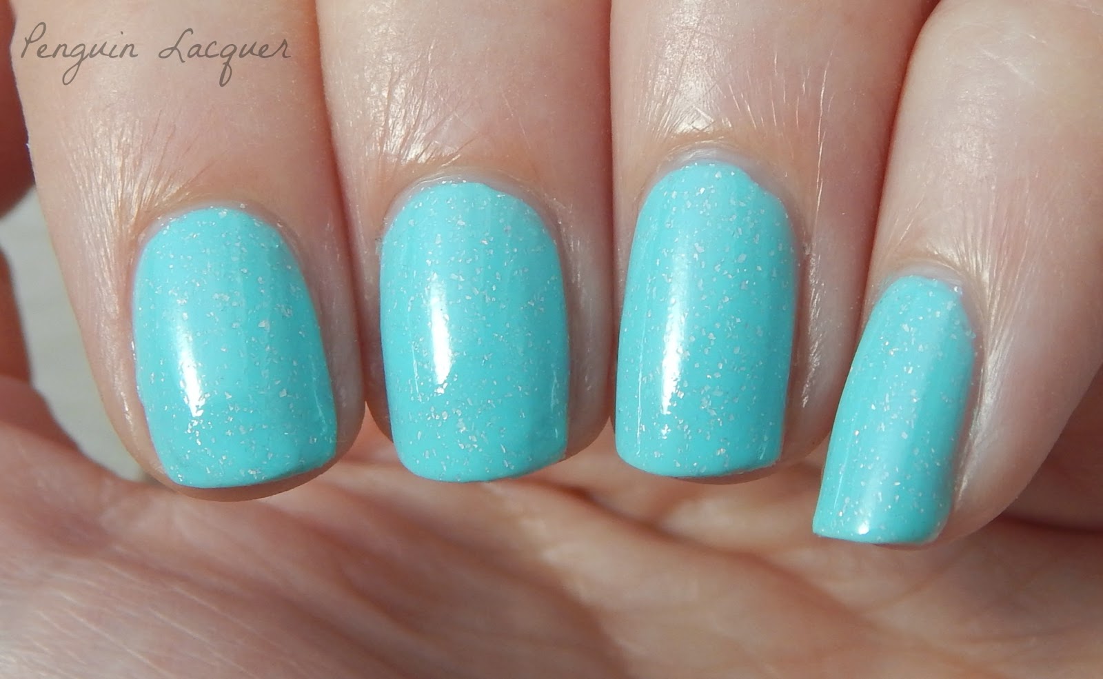 Penguin Lacquer [LIFUB] pICTURE pOLISH salt water