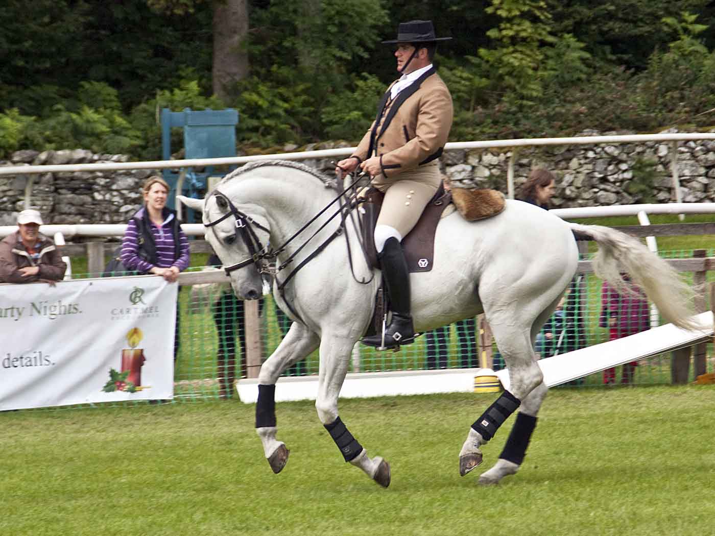 http://4.bp.blogspot.com/-AQ4rIgS2bqI/Tw11iK2bO3I/AAAAAAAAAYQ/kyhpnIS3O-0/s1600/Classical-Dressage-at-Cartm.jpg