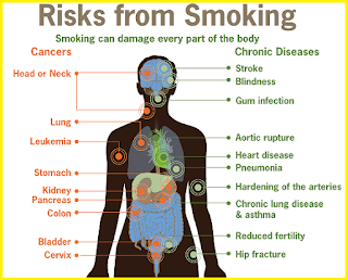Smoking Side Effects How Smoking Affects Your Health Smoking Side Effects How Smoking Affects Your Health