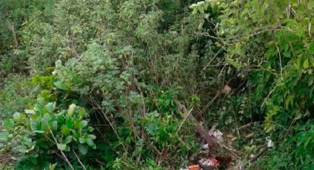 Suspeito de estuprar criança de 4 anos é decapitado em Porto Seguro