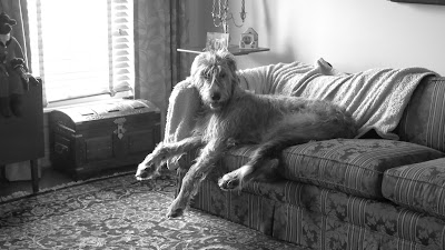 Amelia, Today, June 10, 2016, 10:18:47 AM