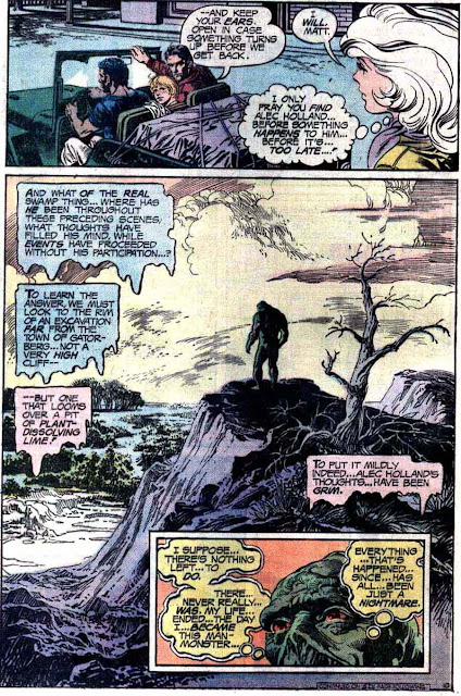 Swamp Thing v1 #19 1970s bronze age dc comic book page art by Nestor Redondo Swamp Thing v1 #19 1970s bronze age dc comic book page art by Nestor Redondo