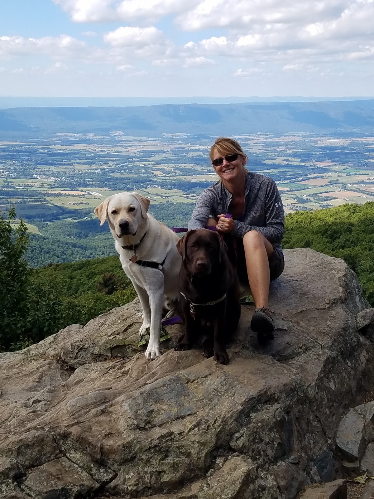 Meet Our Humans Sheryl The Loudon Pet Sitting Company