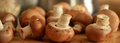 mushrooms-health-benefits-lose-weight