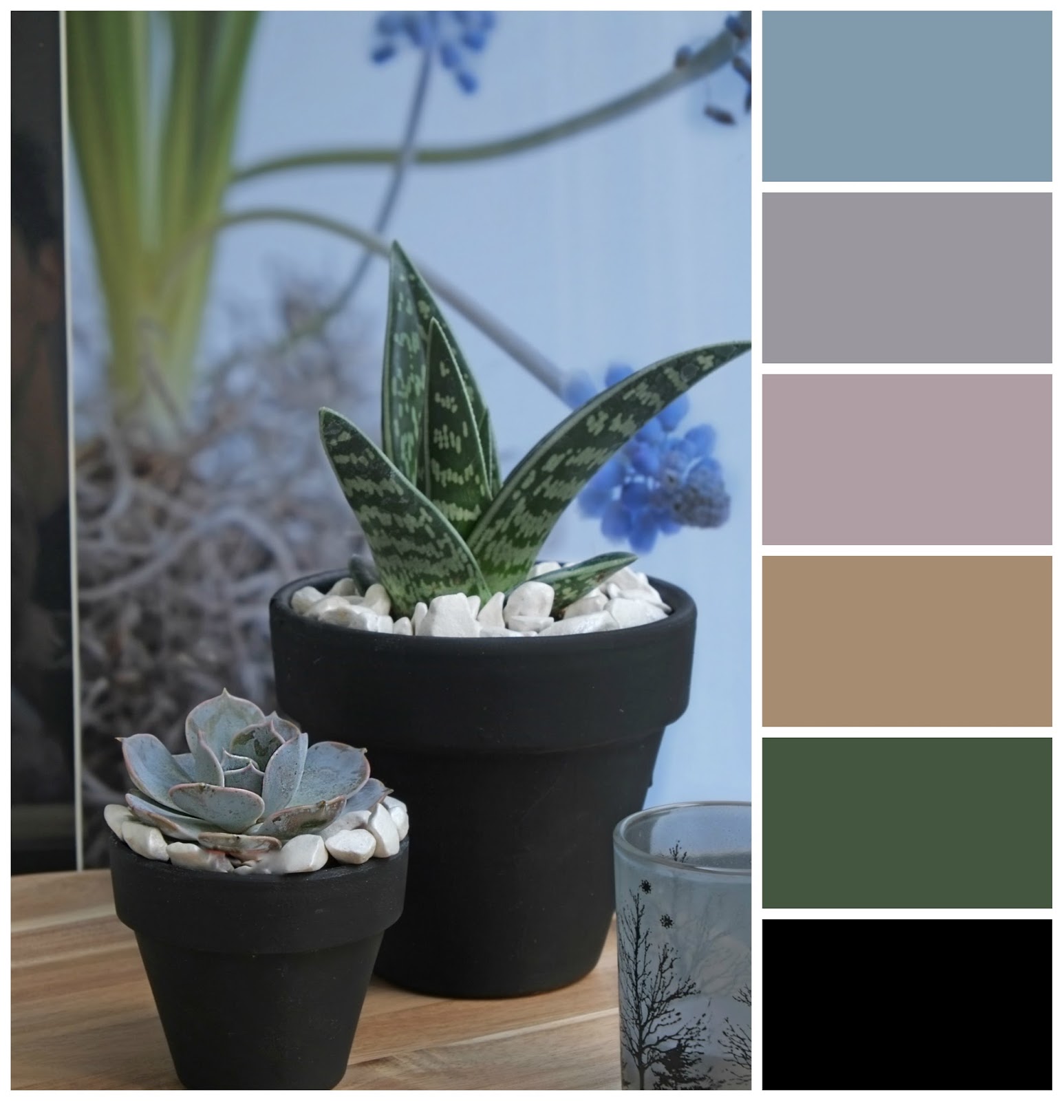 Kleurenpaletten, inspiratie met vetplant (interieur ideeën ...