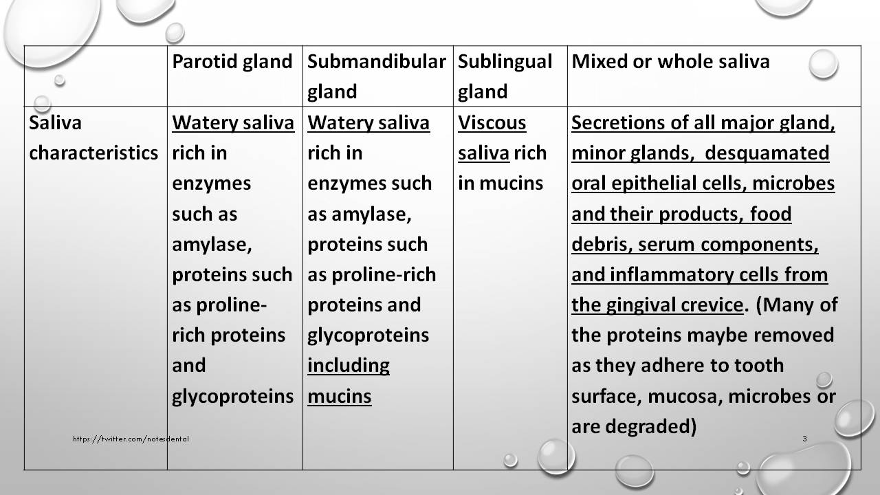 Dental Notes Saliva and its functions NOTES (Repost)