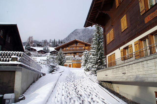 Grindelwald Switzerland Winter