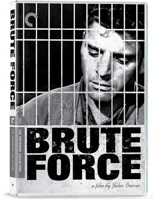 Brute Force Criterion Collection Dvd