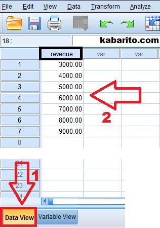 Olah Data Statistik Deskriptif Menggunakan SPSS - kabarito.com input data di data view spss statistik