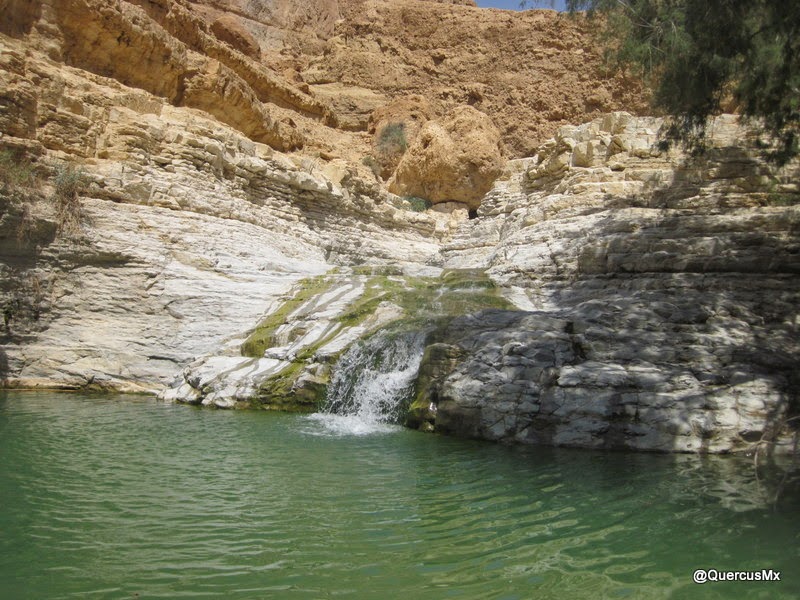 Una de las fosas al final del sendero en el cañón Wadi Arugot Para continuar en el sendero, tienes que cruzar la fosa