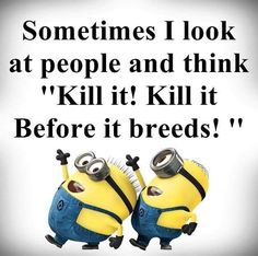 minions images