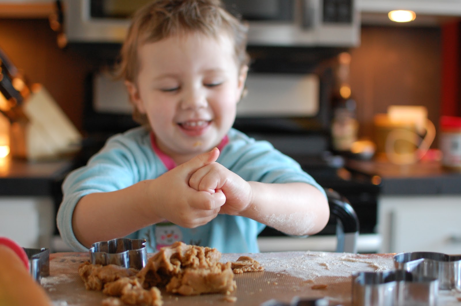 Mila & Willow Boneified Baked Goods