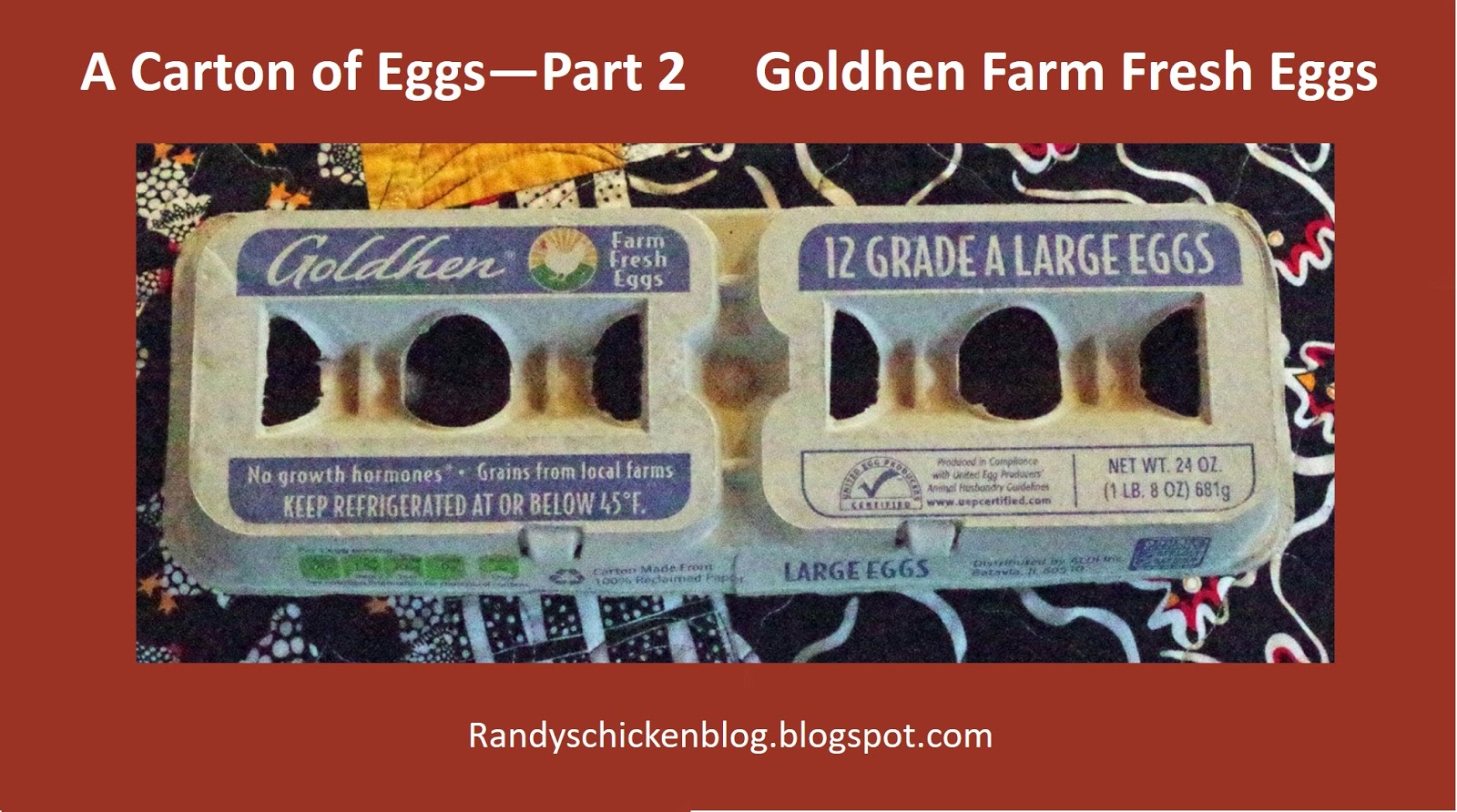 Randy's Chicken Blog A Carton of Eggs Part 2 ALDI’s Goldhen Farm