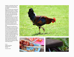 ants poke chickens oh chicken