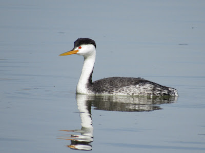 Tule Lake National Wildlife Refuge