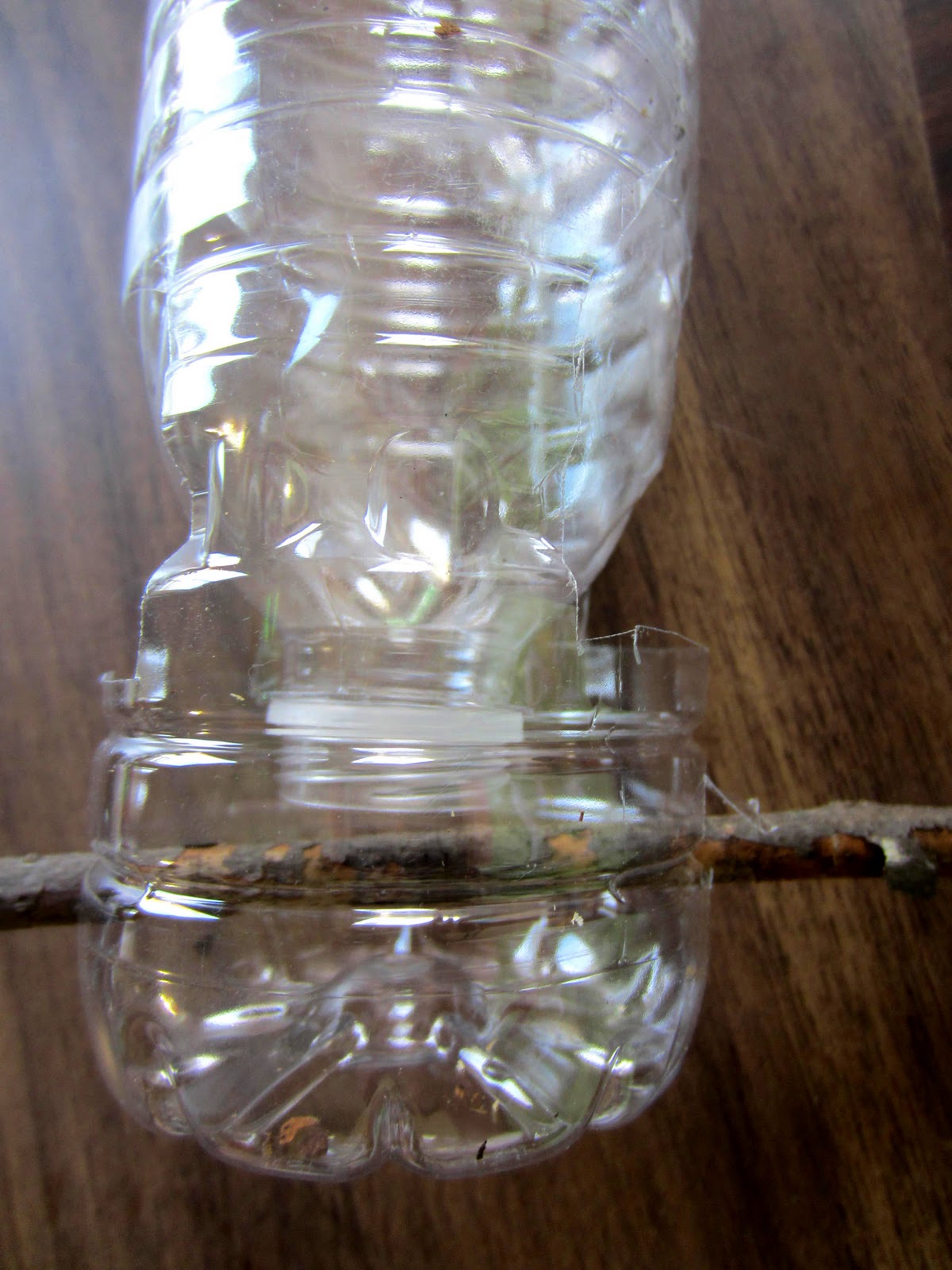 How to Make a Birdfeeder From Waterbottles! (tutorial/instructions