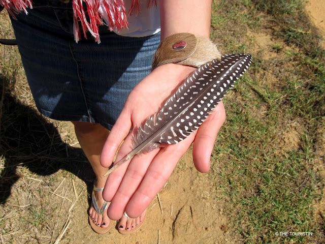 South Africa, Western Cape, Bird Feather