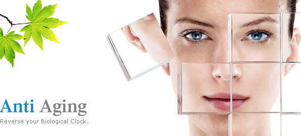 http://www.bluskincosmetology.com/skin-care-anti-aging.php