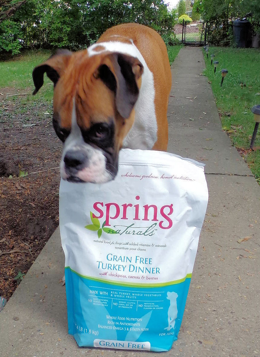 Dry Dog Food Without Yeast Dry Dog Food Without Yeast