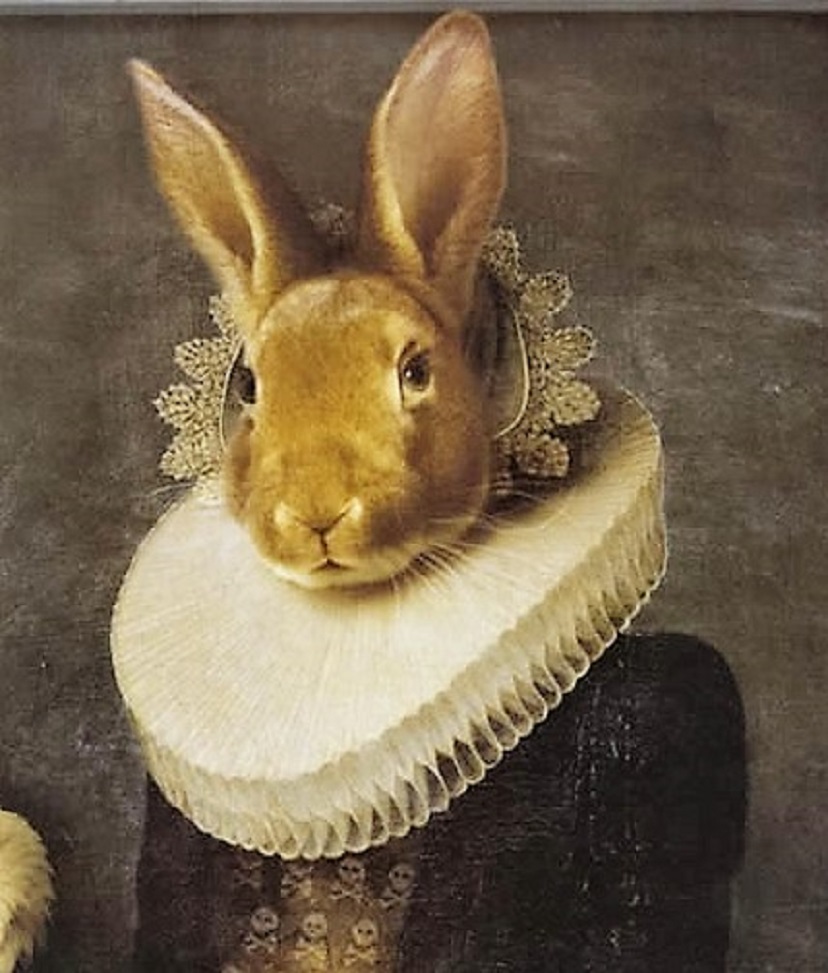 It's About Time The 1500s Ruff appears as Pet Fashion 1800s America