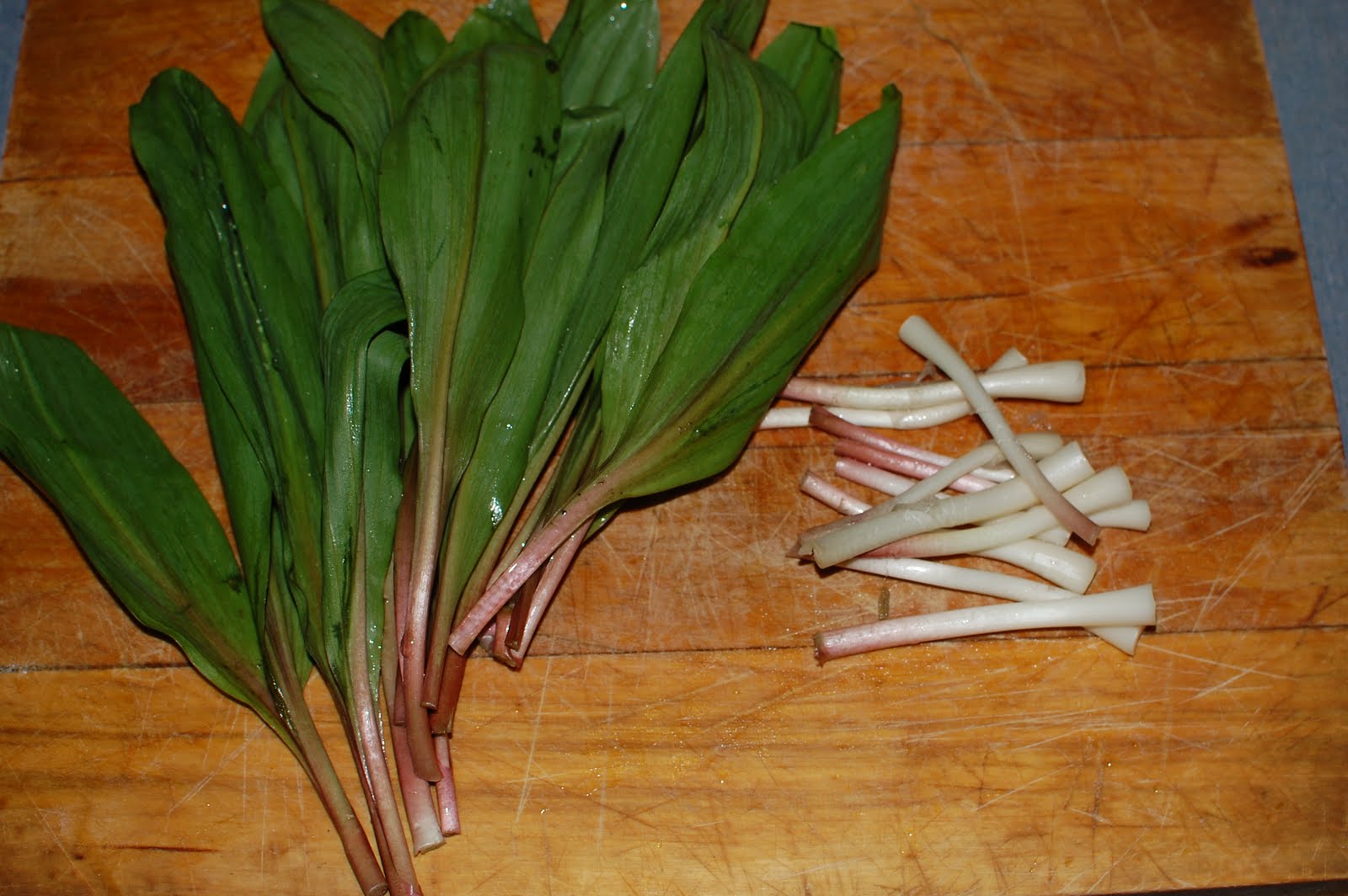Backyard Farms Leeks, Ramps and Salsify!