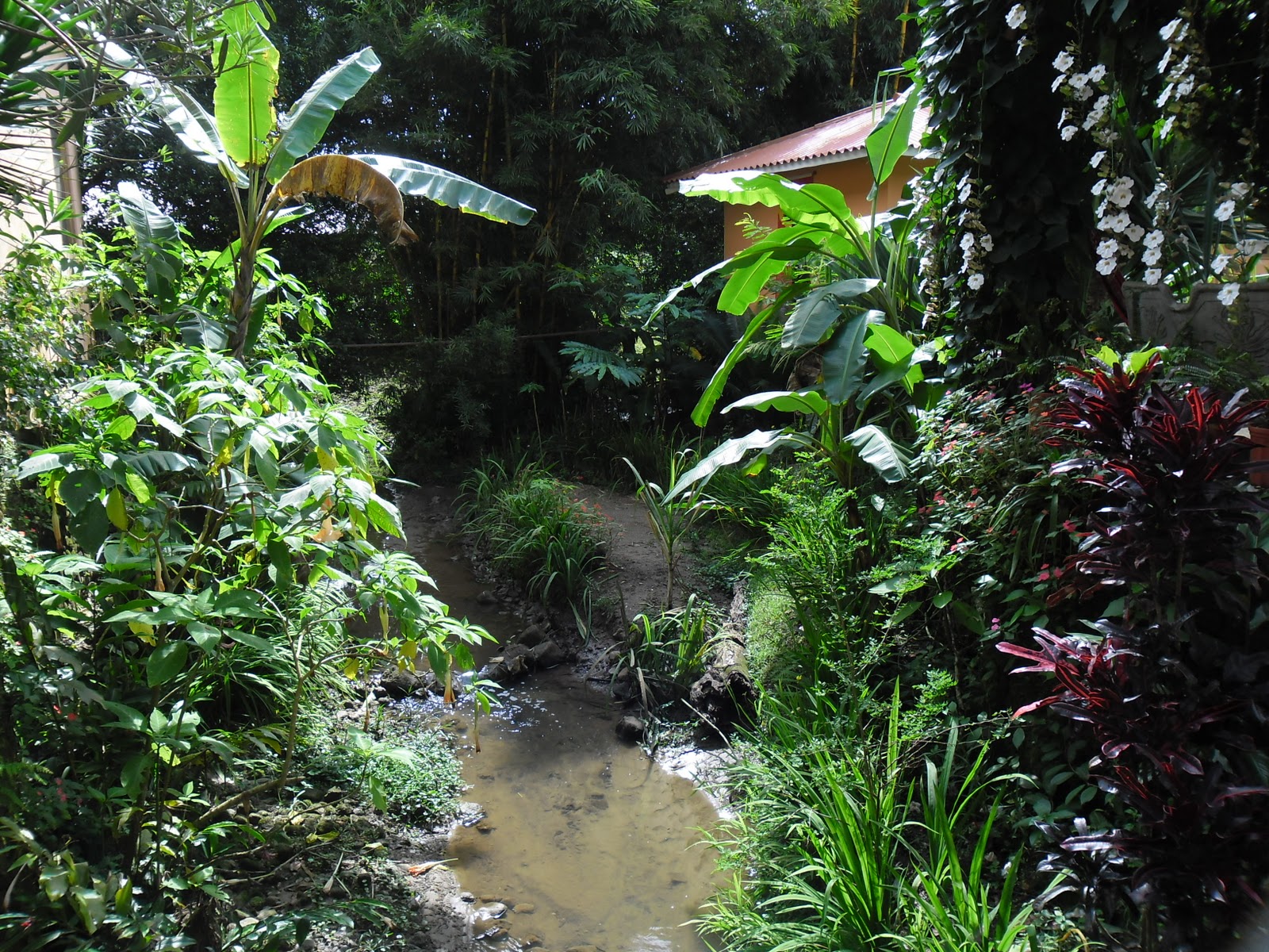 Casa Mariposa English