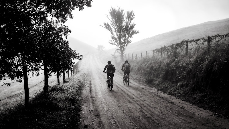 Cyclists 2