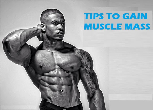 Muscle Palace: Tips to Gain Muscle Mass