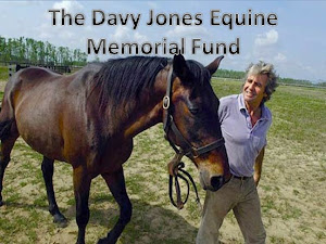 Please Give to the Davy Jones Equine Memorial Fund