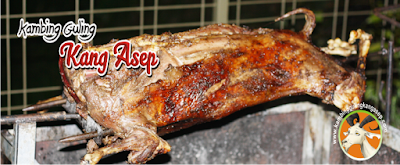 Kambing Guling berkualitas di bandung kambing guling berkualitas di bandung