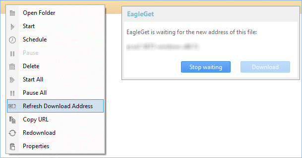 eagleget extension for chrome not working