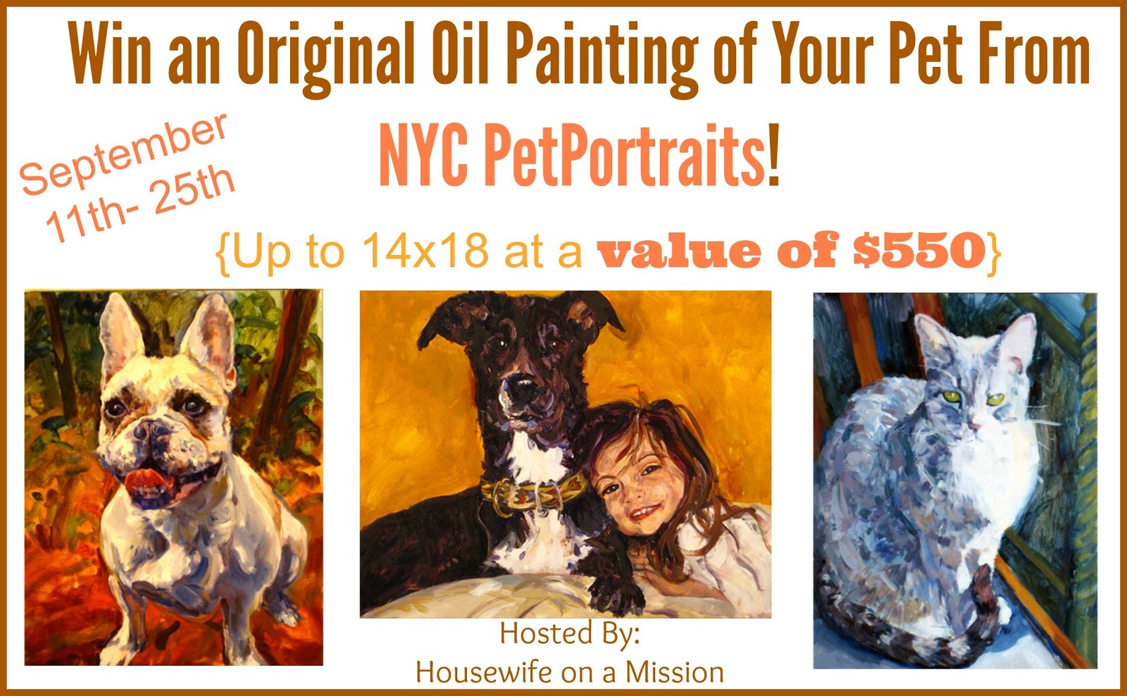 New york city pets. животные в одежде. город собак. управляемая городская собака. New york city pets.