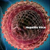 Lindungi Keluarga Anda dari Hepatitis A
