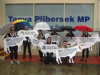 HUMANE CHAIN- Stop Live Exports: November 2011