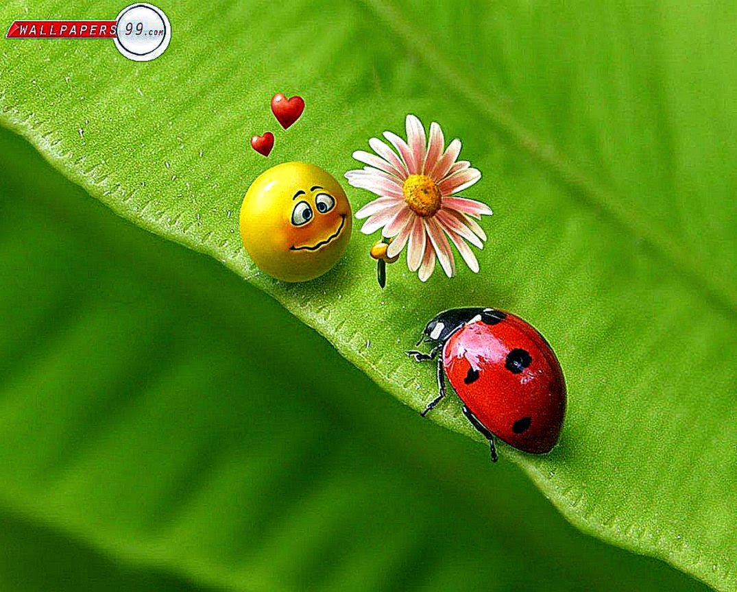 Free 3d Cartoon Wallpapers Desktop