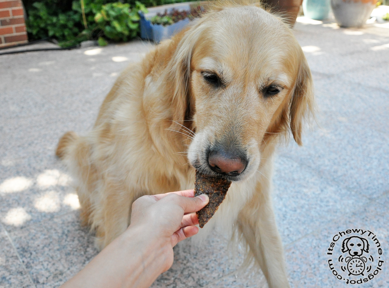 It's Chewy Time! Barkworthies Canine Superfoods Jerky Product Review